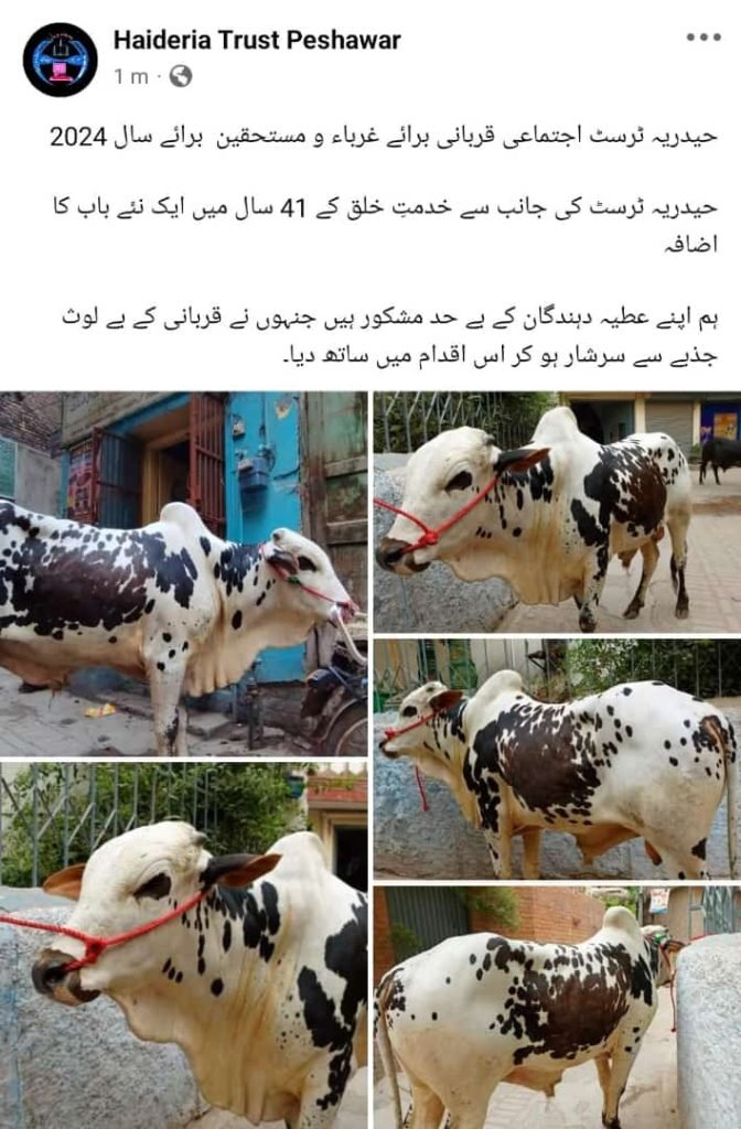 حیدریہ ٹرسٹ اجتماعی قربانی برائے غرباء و مستحقین برائے سال 2024